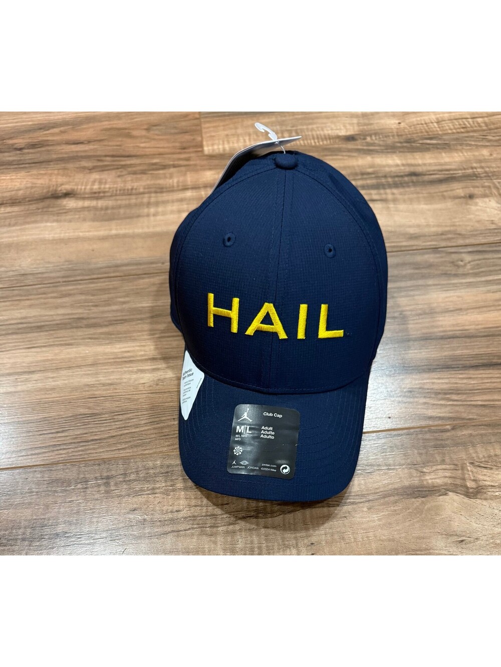 Jordan Brand Michigan Wolverines "HAIL" Club Hat Cap Authentic Team Issued PE